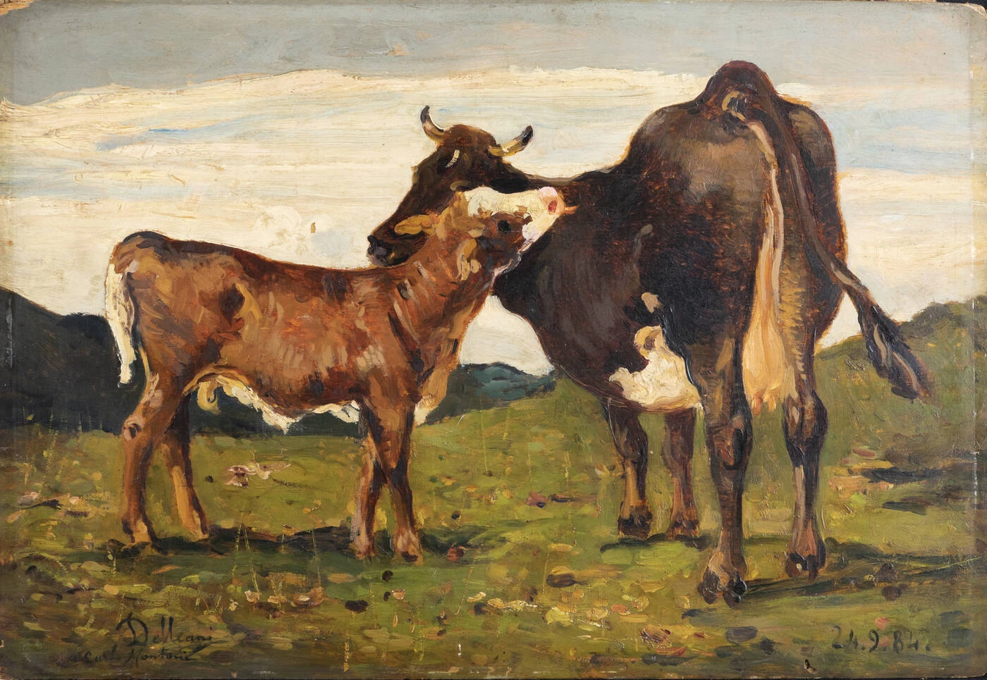 Mucca e vitello